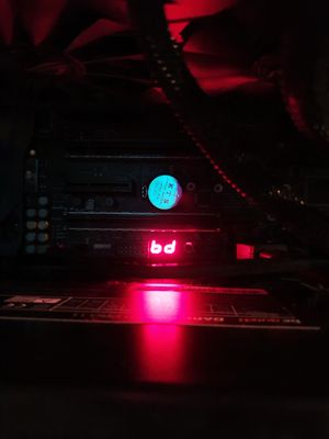 81644