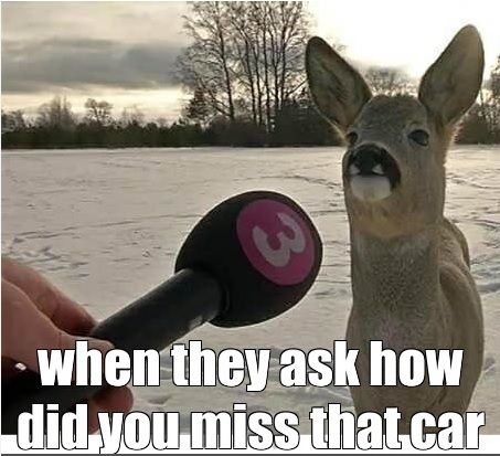 Car.jpg