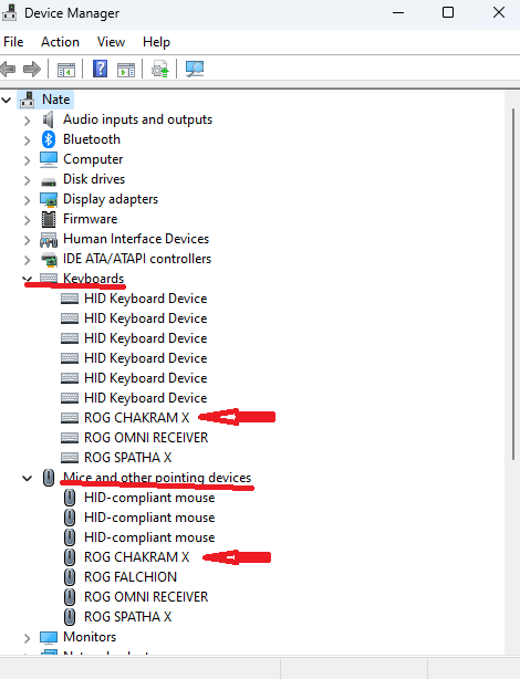 chakram x device manager.png