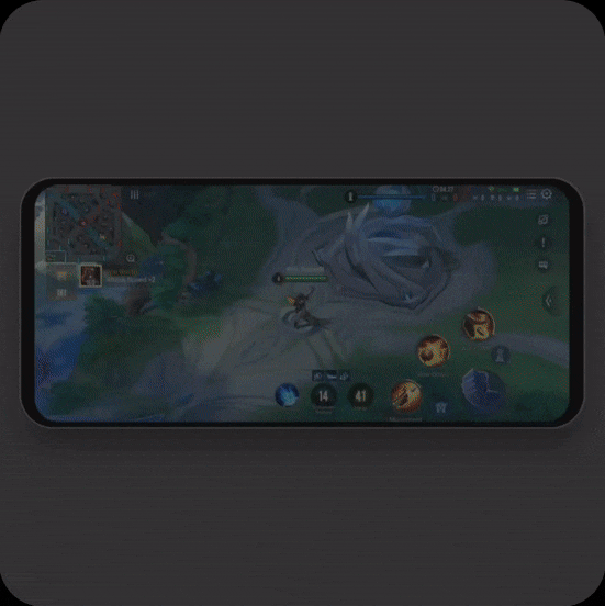 Xcapture.gif